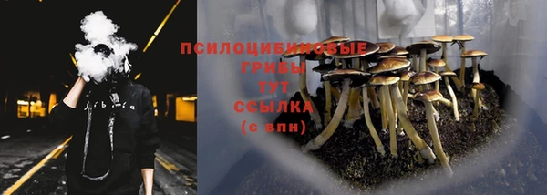 a pvp Кодинск