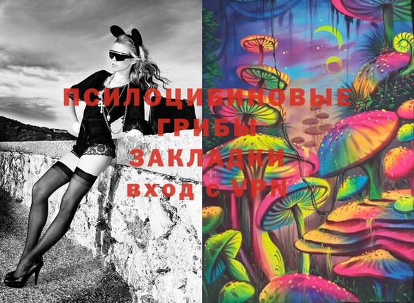 a pvp Кодинск
