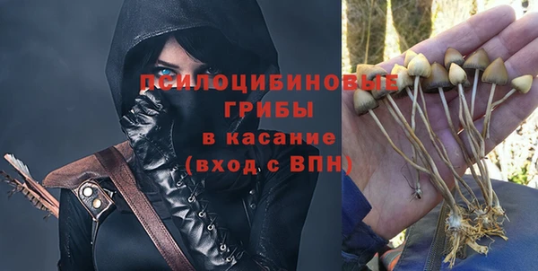 a pvp Кодинск