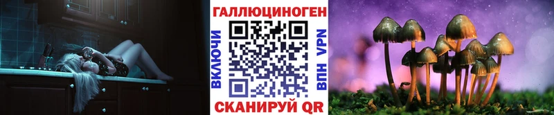 Галлюциногенные грибы Psilocybe  Купить где  Арсеньев 